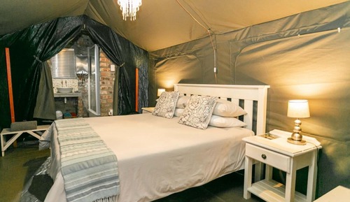 Standard Tent