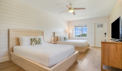 Deluxe Oceanview Seaside Villa (Accessible)
