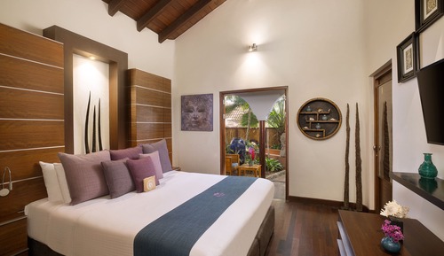 Banyan Tree Room