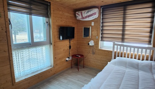 Basic Studio (201)