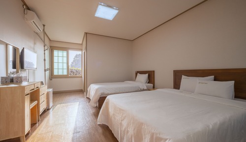 C. Hotel Type (Twin)