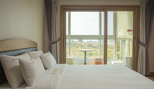 A. Hotel Type (Double)