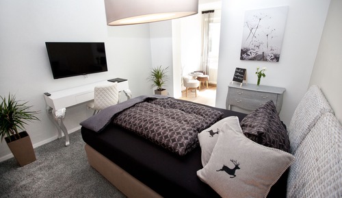 Comfort Single Room