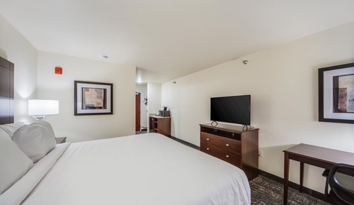Room, 1 King Bed, Non Smoking