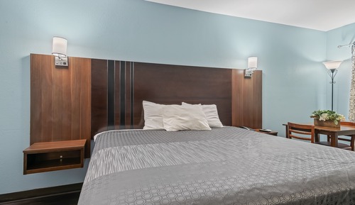 Standard Single Room, 1 King Bed, Accessible, Non Smoking