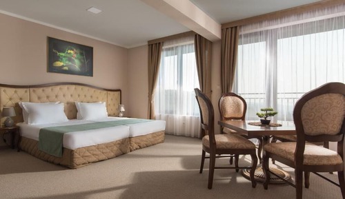 Deluxe Double or Twin Room, Mountain View