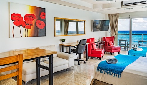 Panoramic Studio Suite