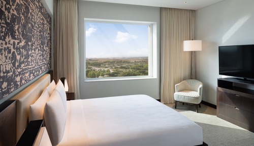 Executive Suite, 1 King Bed with Sofa bed