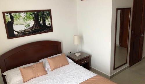 Junior Single Room