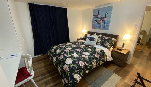 Basic Apartment