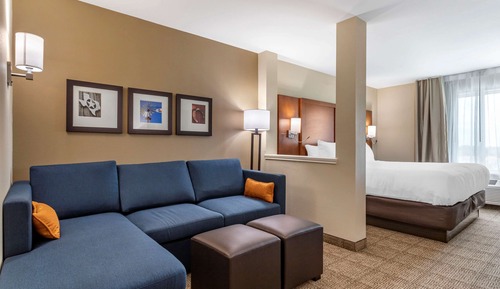 Suite, 1 King Bed with Sofa bed, Non Smoking