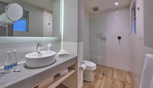 Premier Room