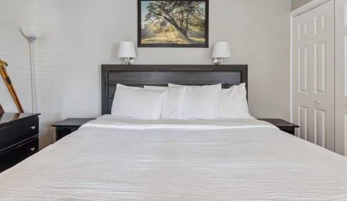 307 North Creek (312331)