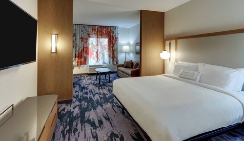 Suite, 1 King Bed with Sofa bed