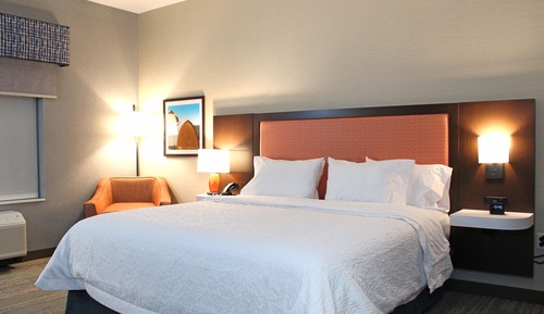 Room, 1 King Bed