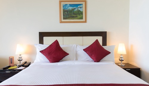 Deluxe Room, 1 Bedroom, Mountain View