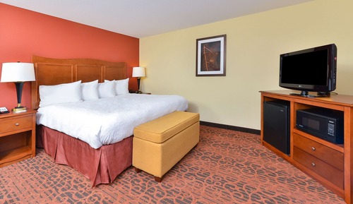 Room, 1 King Bed, Accessible, Non Smoking (Shower Only)