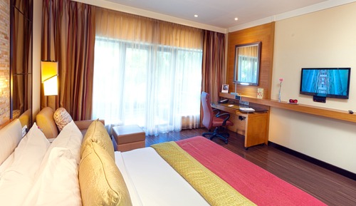 Executive Room, 1 King Bed, City View