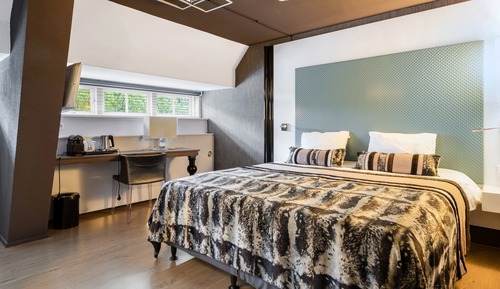 Comfort Plus Room