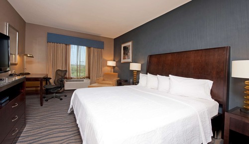 Room, 1 King Bed