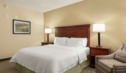 Room, 1 King Bed, Accessible, Non Smoking