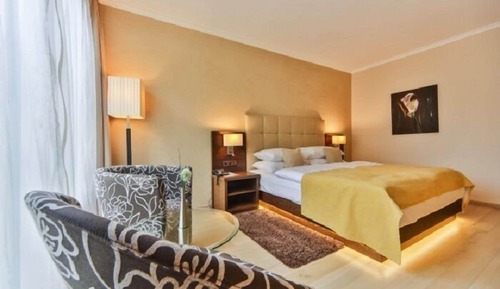 Business Double Room Single Use, 1 Bedroom, Allergy Friendly
