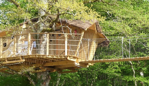 Cabin in the trees