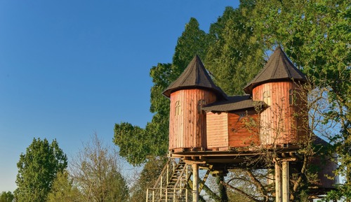Tree House