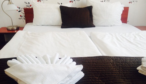 Standard Room, 1 Queen Bed