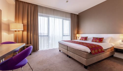 Comfort Suite