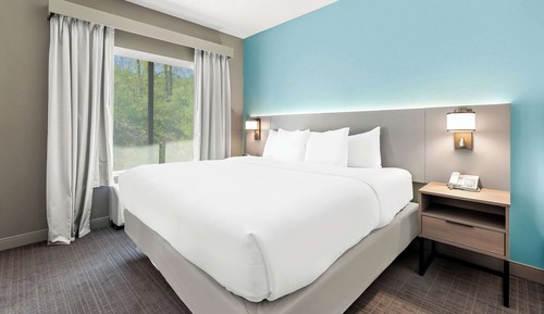 Single Room, 1 King Bed with Sofa bed, Non Smoking (Efficiency)