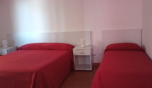 Basic Apartment
