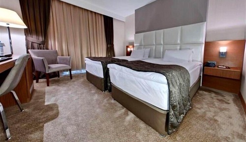 Basic Twin Room