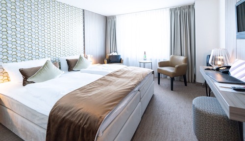 Business Double Room
