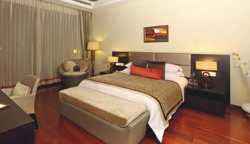 Premium Suite