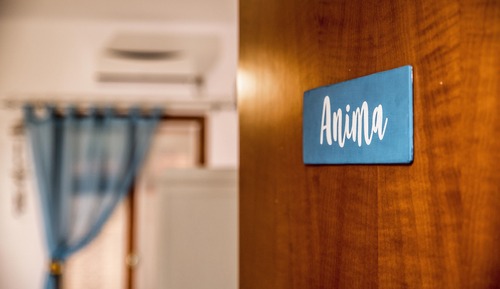 Room (Anima)