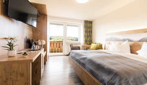 Comfort Plus Double Room