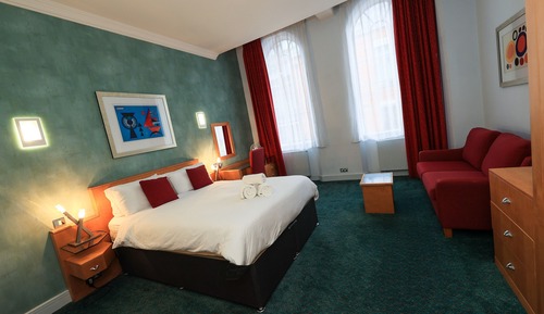Beautiful Comfortable Spacious Studio In The Heart Of The City