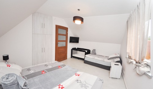 Premium Cabin
