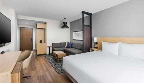 Room, 1 King Bed with Sofa bed, Accessible (Shower)