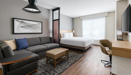Room, 1 King Bed with Sofa bed