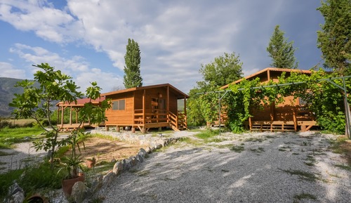 Design Tree House