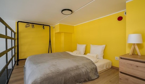 Standard Studio Suite