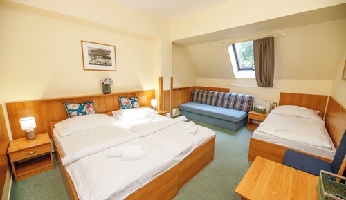 Economy Triple Room