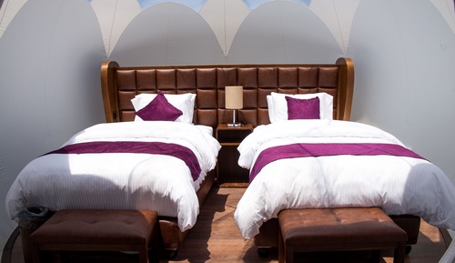 Bubble Suite Twin
