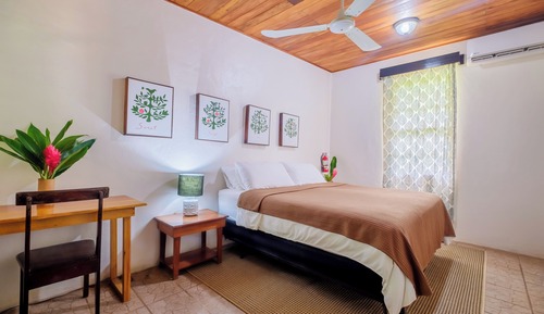 Junior Villa, 1 King Bed, Terrace, Garden View