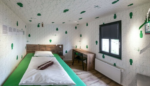 Comfort Single Room (4)