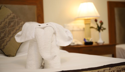 Superior Double or Twin Room
