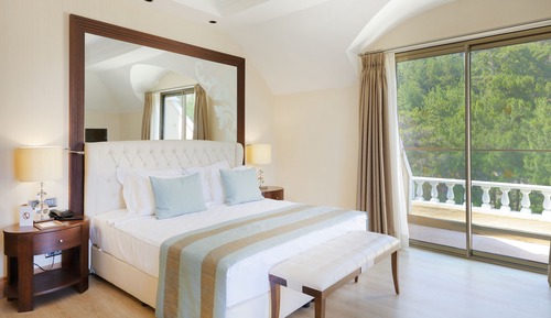 Deluxe Double or Twin Room, Mountain View