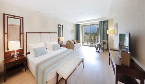 Deluxe Double Room, Mountain View (Large )